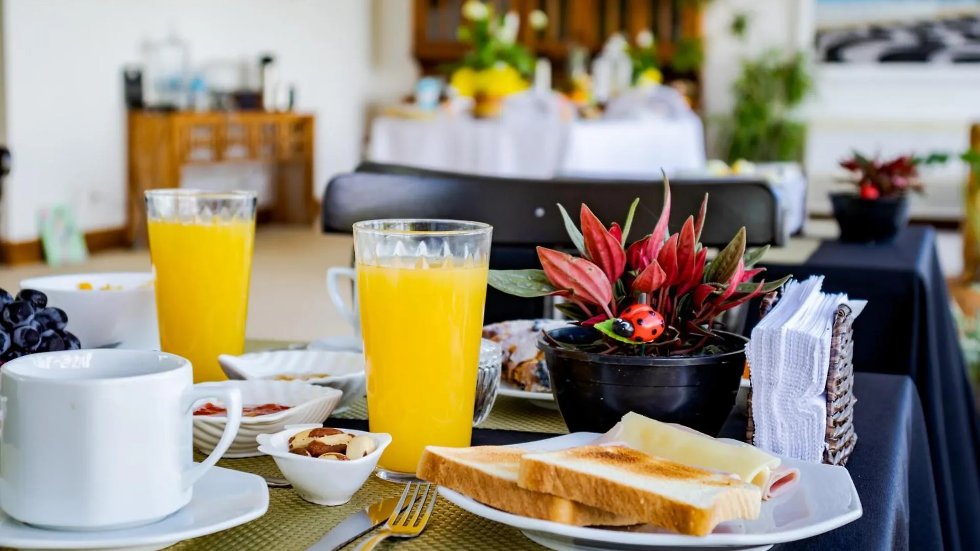 Hotel Boutique Renascer Em Buzios