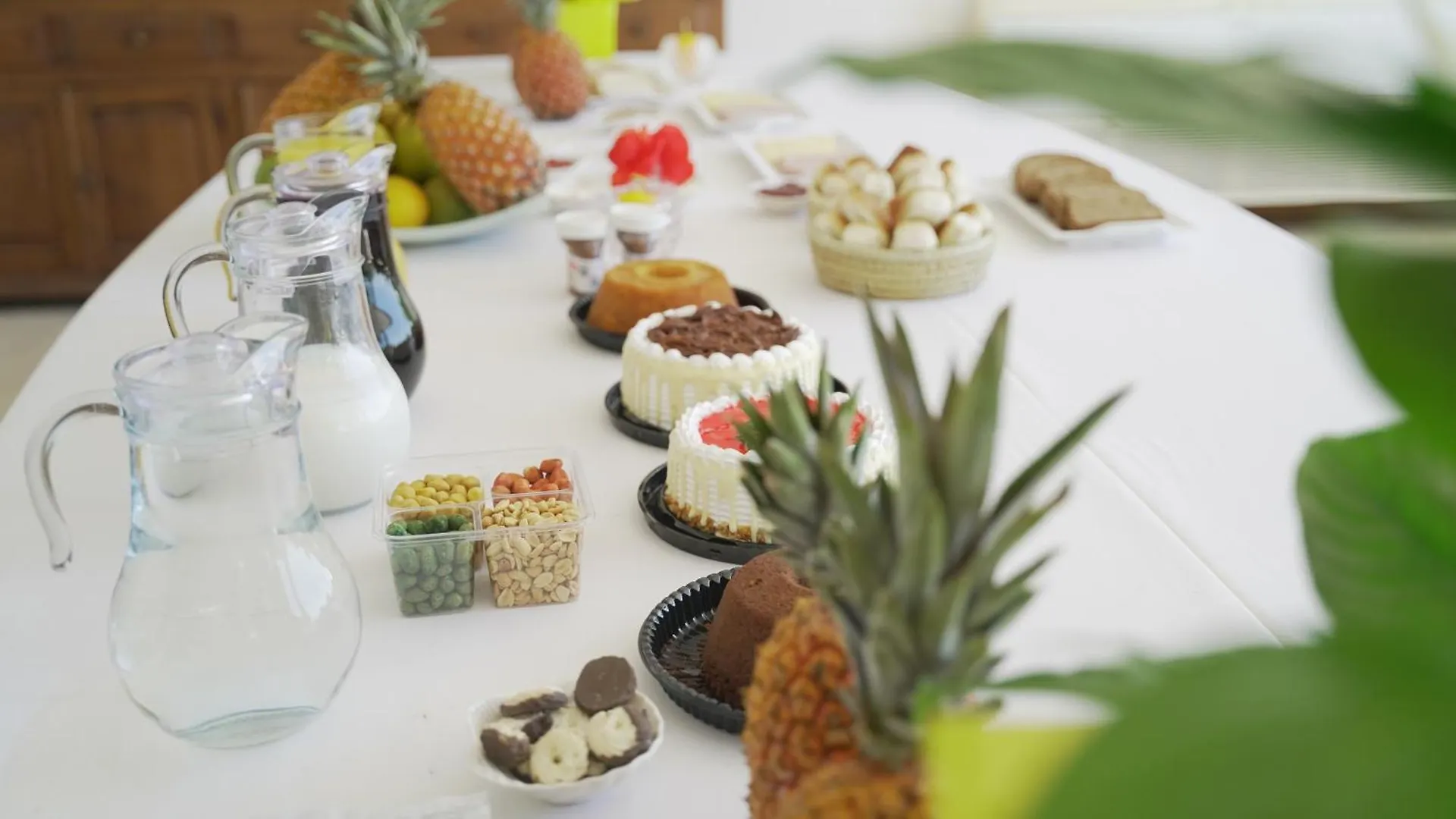 Hotel Boutique Renascer Em Buzios